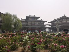 -魏家凉皮(博水商务大厦店)