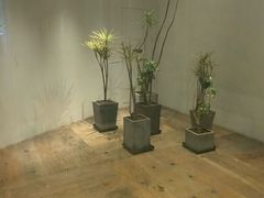 -北京三里屯CHAO酒店