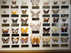 -上海昆虫博物馆