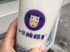 -一只酸奶牛(奎星楼店)