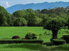 -福建鲤鱼洲酒店