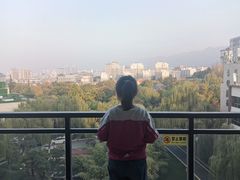 -长安先导国际创新人才交流中心