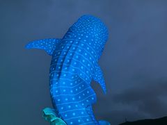 -珠海长隆海洋王国