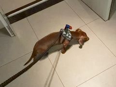 -清真·马家火锅美食城(镇江北路店)