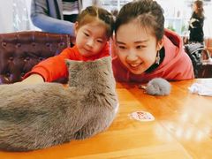 -猫小院猫主题餐厅(三里屯店)