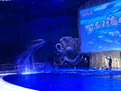 -华夏文旅海洋公园