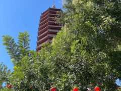 -西海子公园