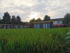 -洪湖家庭农场·团建·露营·会议