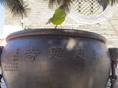 -慈恩寺