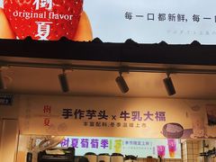 -树夏(建设路店)