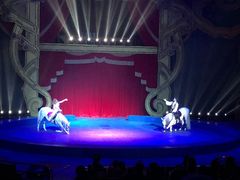 -珠海横琴长隆《卡卡虎奇遇记》