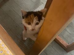 -大象厨房(重庆道店)