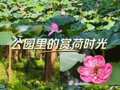 -大宁公园