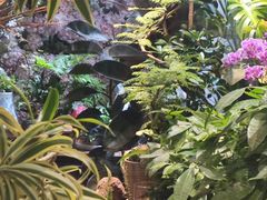 -循礼门鲜花花市(武汉循礼门店)