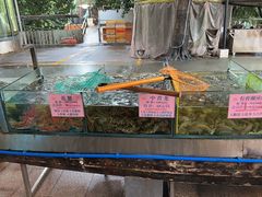 -荔城生鲜盛宴(番禺旗舰店)