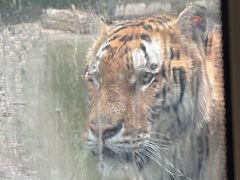 -栾川竹海野生动物园