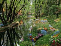 -上海共青森林公园