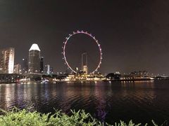 -新加坡摩天观景轮