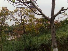 -五通灯塔公园