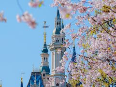 -上海迪士尼度假区