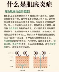 点击看大图 -玛莲朵·海菲秀冰珀科