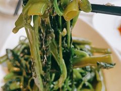 白灼油时蔬-大蓉和(双楠店)