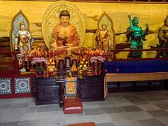 -溱湖国家湿地公园