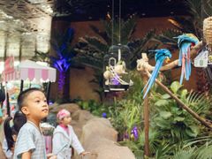 -杭州开元森泊度假乐园