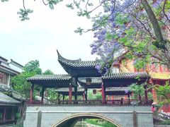-龙潭水乡