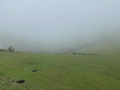 -大姆山草场
