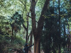 -青城山