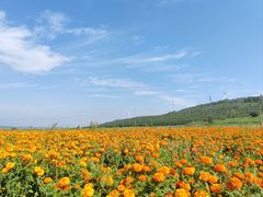 -草原天路(张北县)