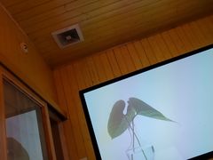 -养心阁足道馆(火宫殿一店)