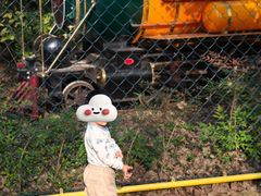 -合肥滨湖国家森林公园