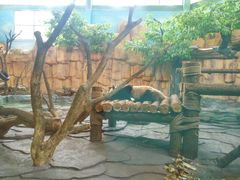 -泉州海丝野生动物世界