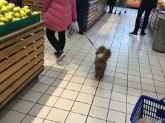 -大润发(衢州店)