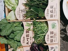 -蒙都43°9羊火锅(平庄店)