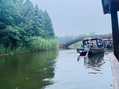 -溱湖国家湿地公园