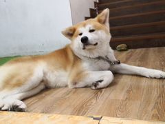 -YCHL Studios健身工作室(市二宫店)