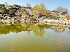 -北京西山国家森林公园