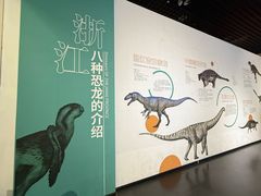 -衢州市博物馆