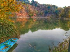 -王借岗森林公园