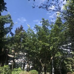 -莲生母婴月子中心(清水河公园店)