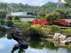 -东方艺术博物馆