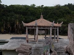 -广东惠东海龟国家级自然保护区