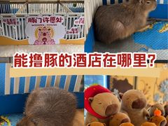 -廊坊固安福朋喜来登酒店
