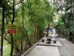 -大树头森林餐厅(番禺广场店)