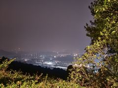 -铁山坪森林公园