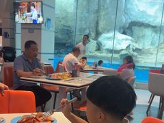 -帝企鹅自助餐厅•儿童岛•真企鹅(长隆企鹅酒店)