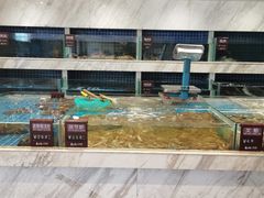 水产区-夜上海(上元大街店)